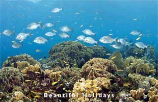 typical scenery of honduras