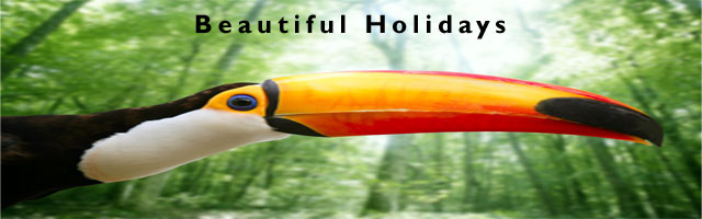 american rainforest holidays