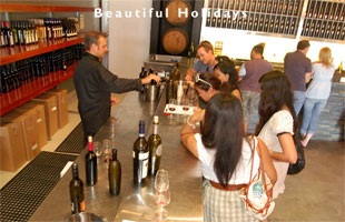 scene from the hunter valley australia