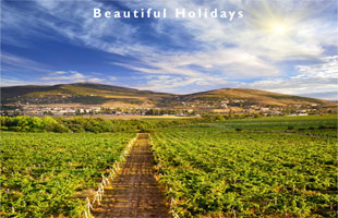 picture of barossa valley south australia