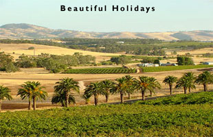 scene from the barossa valley australia