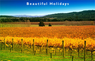scene from the yarra valley australia