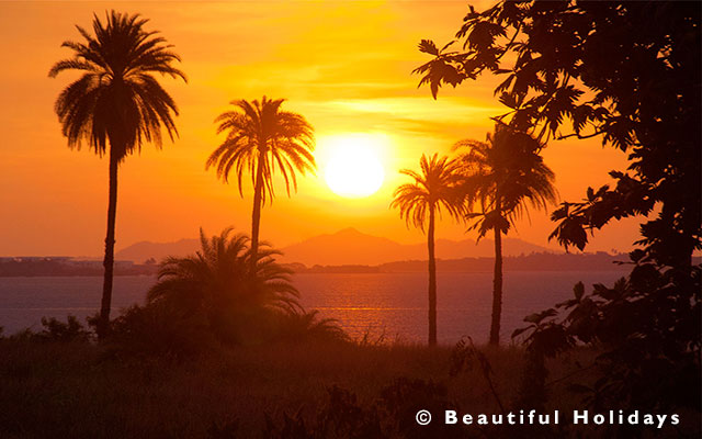 view from our office in fiji